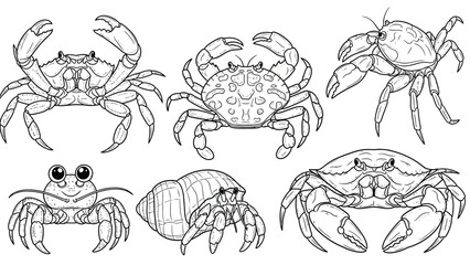 Illustrated crab variety: six different crabs with unique body shapes and patterns, displaying diverse claws and shells in a playful, detailed style. © SHAMIM