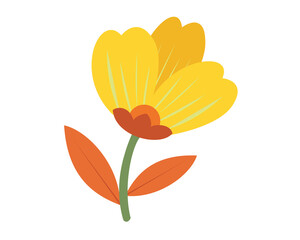 yellow flower on white background