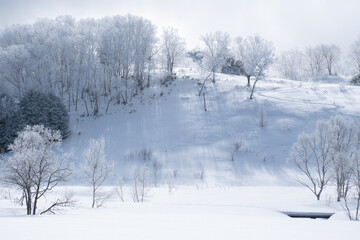 Obraz premium 雪化粧の志賀高原と霧氷に覆われた木々