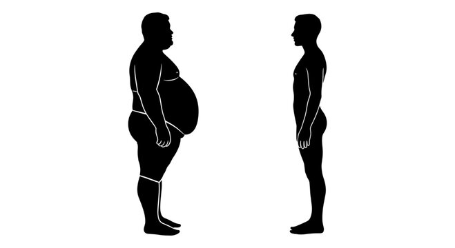 Comparison of body shapes between an overweight and a normal weight individual