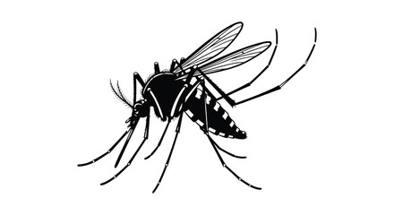 Obraz premium A detailed illustration of a mosquito with prominent wings and legs presented in stark black against white silhouette