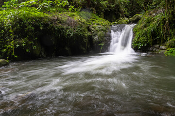 Flowing waterfall cascading over rocks in lush forest nature landscape