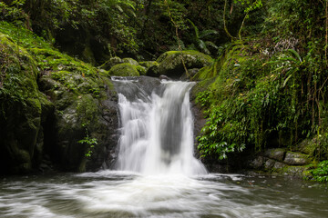 Flowing waterfall cascading over rocks in lush forest nature landscape