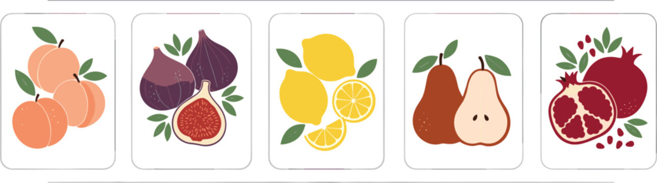 Minimalist hand drawn fruit vector collection with peach fig lemon pear and pomegranate illustrations for organic food packaging and healthy kitchen decor