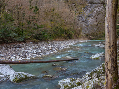 Khosta is a river in the Khostinsky district of Sochi. A mountain river in the vicinity of Sochi, flowing next to a yew and boxwood grove. The flow of water in a mountain river.