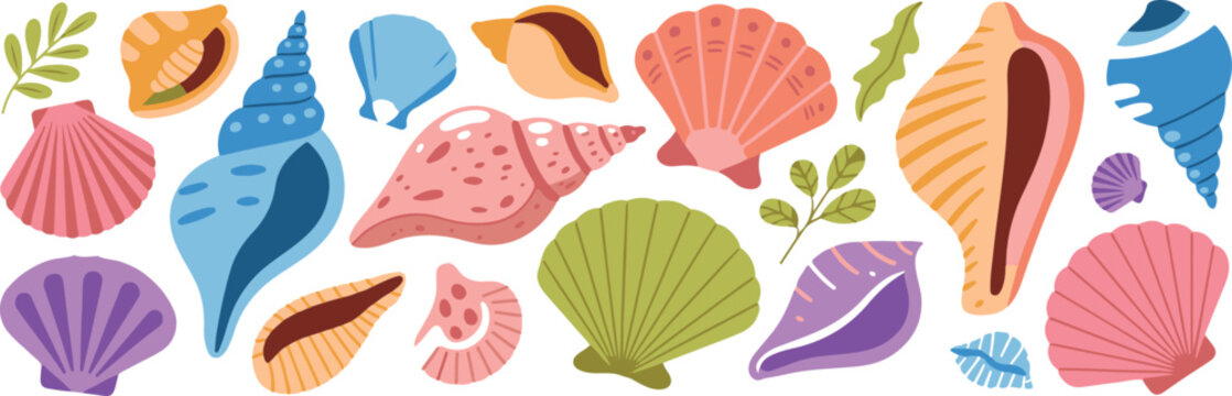 Collection of colorful seashells and marine plants on transparent background, summer beach decorations
