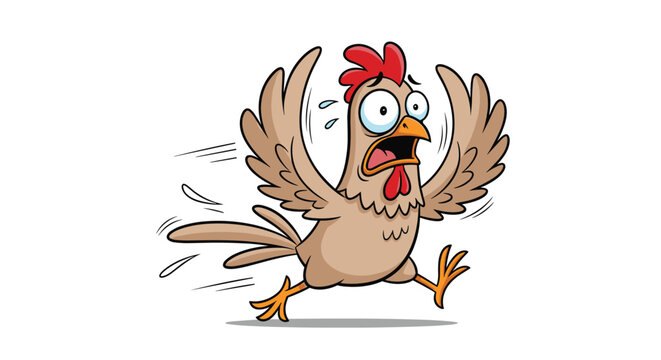 Hysterical brown chicken with wide eyes and open beak running fast in panic while flapping its wings in distress.