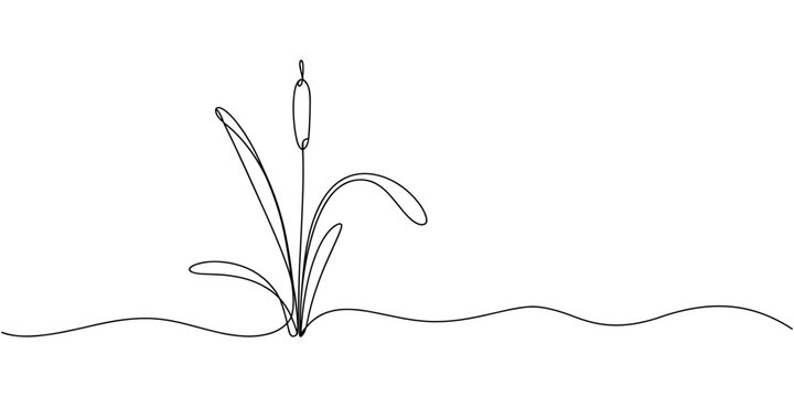 Cattail wetland plant outline, continuous one line drawing, Cattail Silhouette Vector Illustration Wetland Plant Nature Graphic Design, silhouette with cattails, vector illustration.