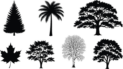 Fototapeta premium Set of black tree silhouettes including pine palm oak maple and birch icons isolated on white background for nature landscape design and botanical graphics