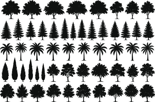 Collection of diverse black tree silhouettes, including oak, pine, palm, cypress, conifer, deciduous, tropical and evergreen trees vector set on white background