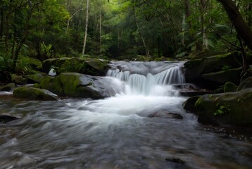 Fototapeta premium Serene forest waterfall with flowing river and lush greenery