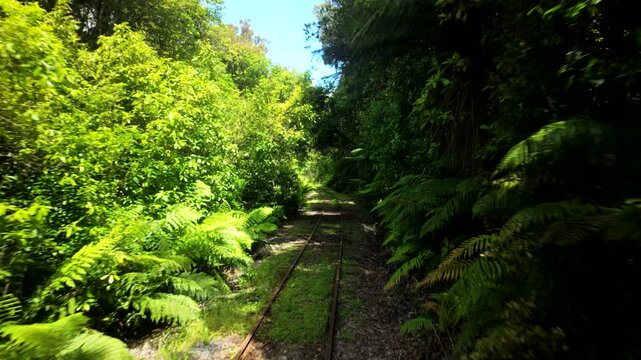 First Person View Moving Along A Railway Through Dense Greenery