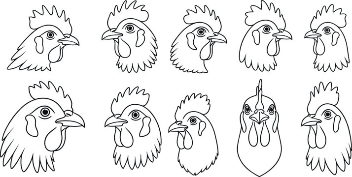 Chicken and rooster head outline illustrations set with detailed farm poultry line art designs illustrated in clean minimal black and white vector style