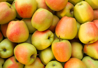 Apple background, Yellow ripe apples 