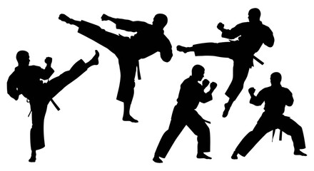Obraz premium karate martial arts silhouettes performing dynamic combat poses powerful kicks and precise punches isolated on a pure white background embodying strength and discipline.