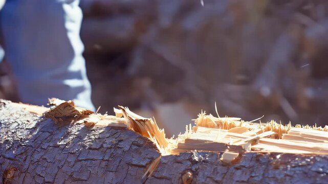 Individual using an axe to chop wood, with visible splinters flying from the log as the axe strikes, showcasing the action in a natural outdoor setting