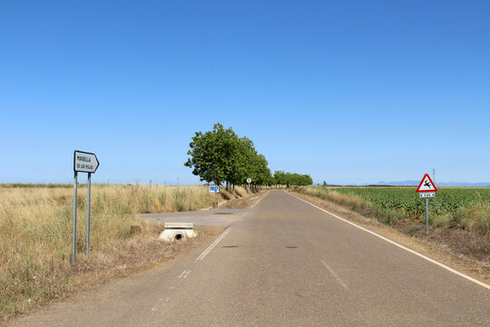 Leaving El Burgo Ranero toward Mansilla de las Mulas in July 2024