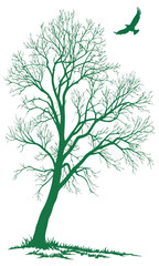 Green Tree and Flying Bird Silhouette.