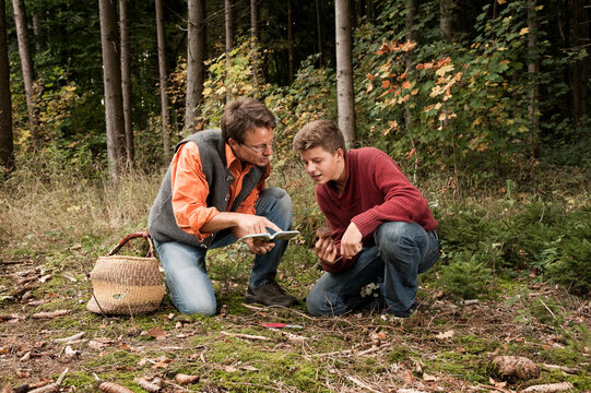 Couple examining mushrooms while foraging in woodland