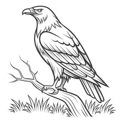 Obraz premium Majestic Eagle Perched on Branch Coloring Page.