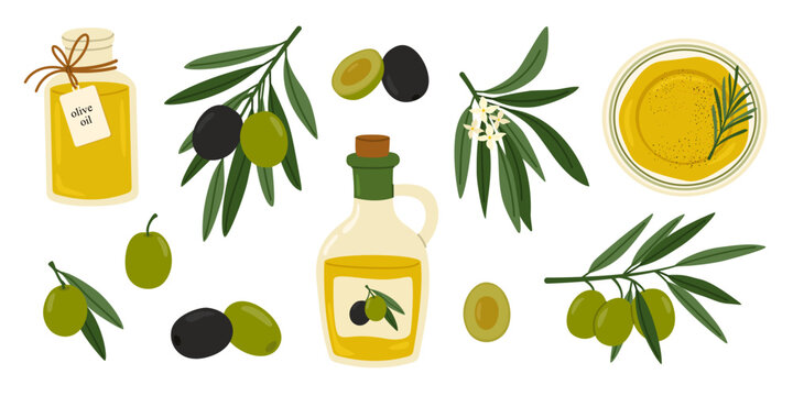 Olive set with tree branches, black and green olives, jar and bottle of olive oil, plate with rosemary oil. Mediterranean food great for culinary, health projects. Flat vector illustration.