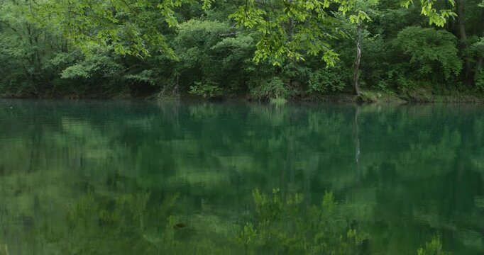 Forest landscape along the Una River in Bosnia and Herzegovina with clear emerald water and reflections of green trees. Peaceful freshwater ecosystem and untouched wilderness in scenic Balkan nature.