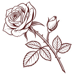 Elegant Red Rose and Bud Outline on Black Background, Romantic Art