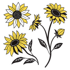 Yellow and White Sunflower Illustration Set