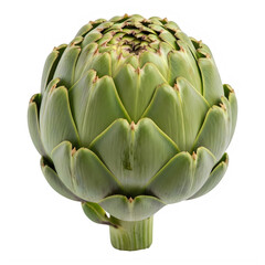 Obraz premium Fresh green artichoke with vibrant leaves and natural texture on transparent background