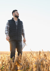 Agronomist inspecting soybean crop during sunset harvest
