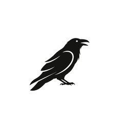 Obraz premium Black silhouette of a crow bird.
