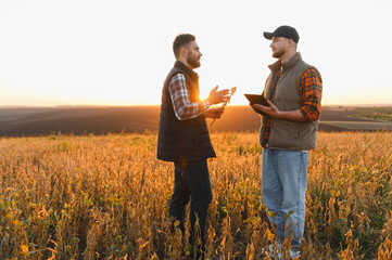 Farmers discussing soybean harvest data using tablet