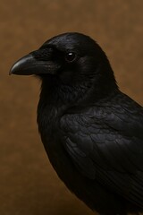 A close-up profile view of a black crow with sleek feathers against a brown textured background