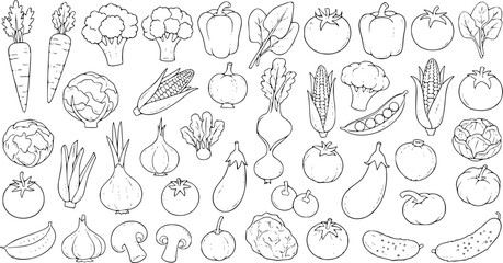 Obraz premium Hand drawn vector illustration set featuring a seamless pattern of doodle fruit and vegetable sketches including apple, cherry, and lemon for a sweet food design