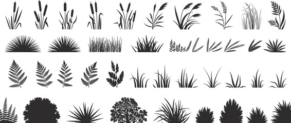 Forest grass, fern and shrub silhouettes collection set, meadow garden plants isolated for landscape design, flat vector illustration © Mahamudul Creatives