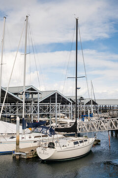 Edmonds, Marina Beach Park, WA, 03.13.2025 - A close-up view of yachts moored in the parking lot vertical photo