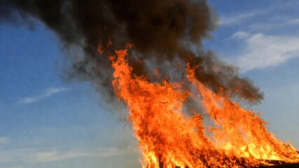 Fototapeta premium Intense fire flames and thick smoke against blue sky.