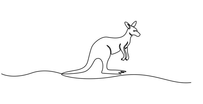 Animated self drawing of single continuous line draw adorable jumping kangaroos for national zoo logo. Australian animal mascot concept for travel tourism campaign icon. Full length one line animation