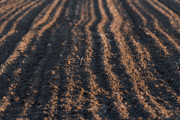 AUTUMN LANDSCAPES -  The first morning frost on the farmland
