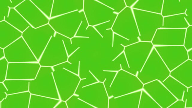 Energetic abstract green background showcasing a complex web of white angular lines, perfect for modern digital art and vibrant graphic compositions