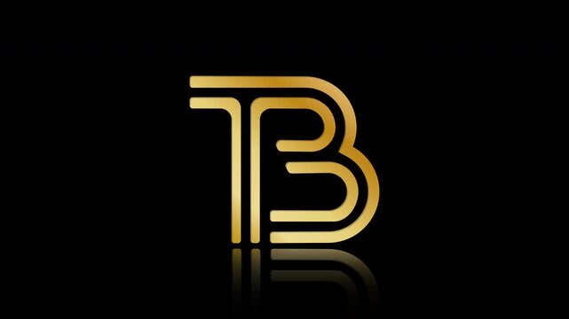 Stylized lowercase T and B with reflections, connected by a single line. Idea for a logo, emblem, or creative design