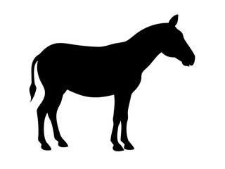 Fototapeta premium Zebra Silhouette Vector - African Safari Striped Animal Standing Wildlife Graphic Icon