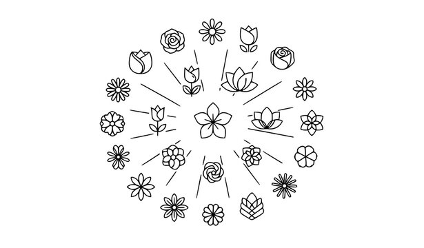 Simple Flower Outline Icons Vector Set Minimal Floral Line Symbols Collection