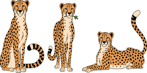 African Cheetah Vector Illustration Set with Sitting Standing and Lying Poses Isolated on White Background for Wildlife Design © Nurjjaman