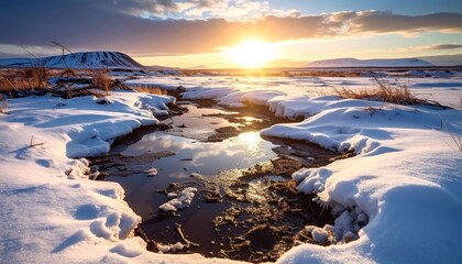 A FlyPro Firefly image capturing a wind-battered tundra landscape with permafrost melting into muddy puddles under a pale, weak winter sun, presented in photorealistic DSLR style.