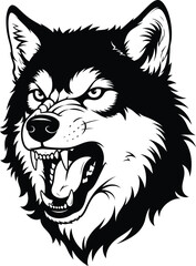 Fototapeta premium Fierce husky wolf portrait in black and white