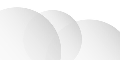 abstract white background with curve crease. Vector background