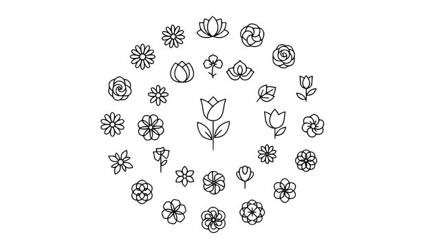 Simple Flower Outline Icons Vector Decorative Blossom Line Set Isolated