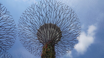 Gardens by the Bay Supertree Grove Singapore Wonders