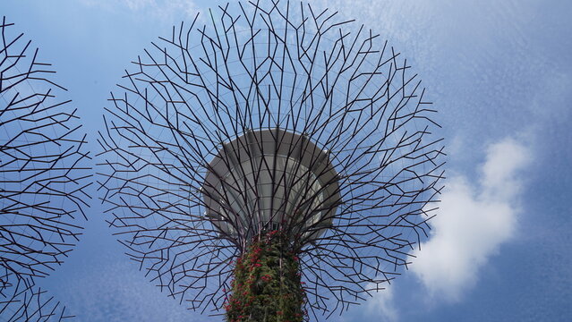 Gardens by the Bay Supertree Grove Singapore Wonders